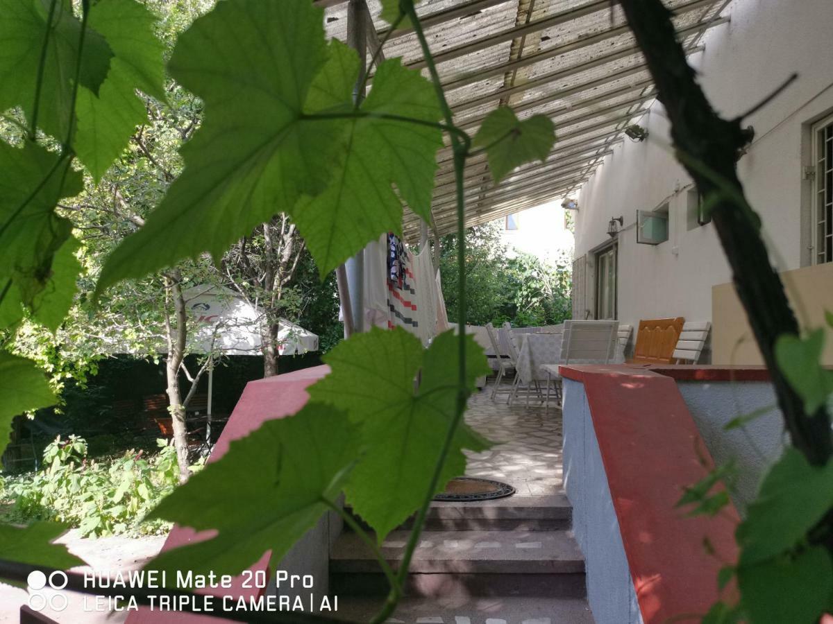 كلوج-نابوكا Enjoy Hostel المظهر الخارجي الصورة